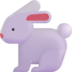 :rabbit: