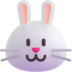 :rabbit_face: :rabbit_face: